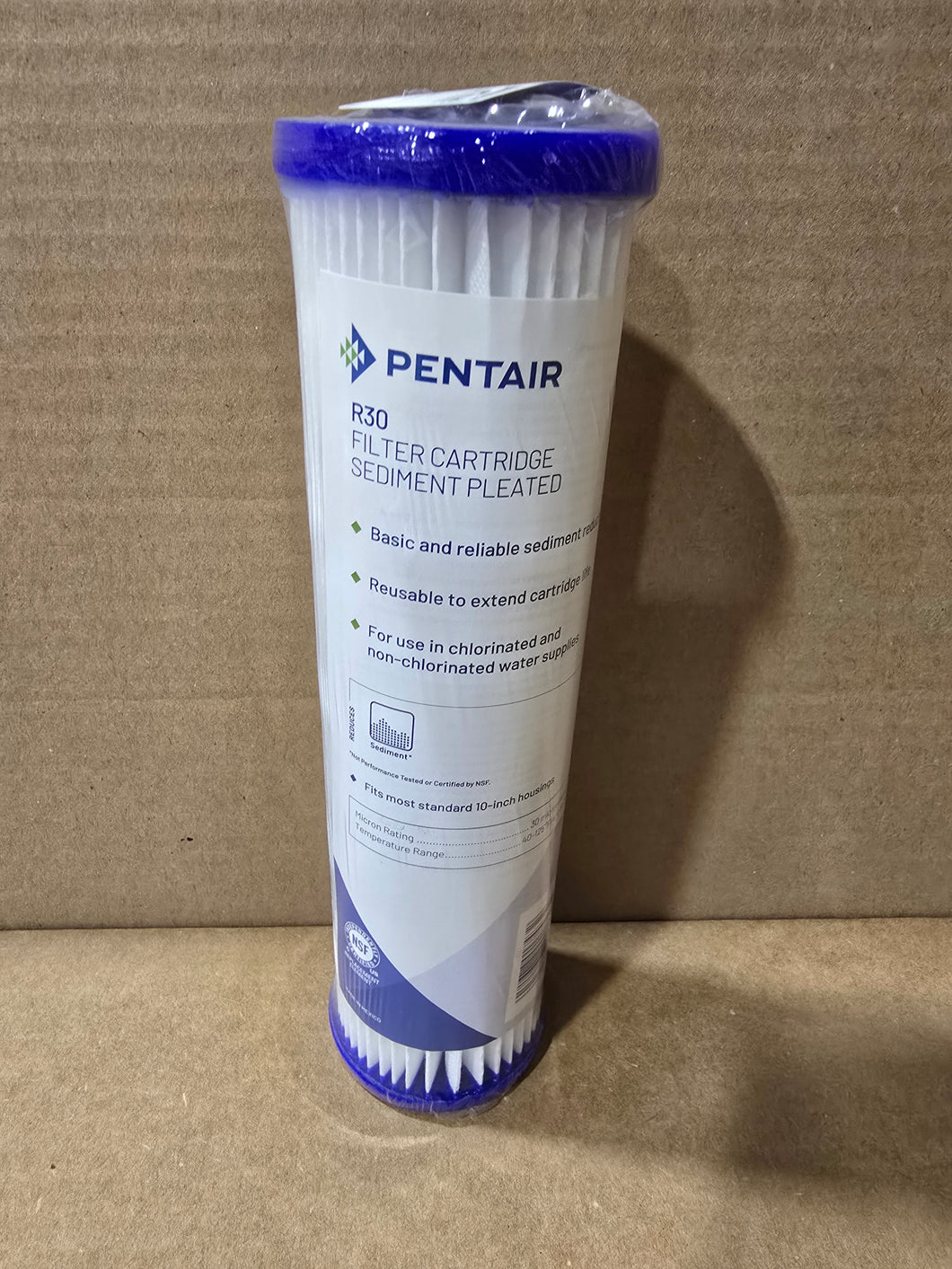 PENTEK 155017-43  R30 - PLEATED POLY #10